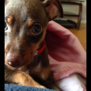 Meet your Posher, Andree